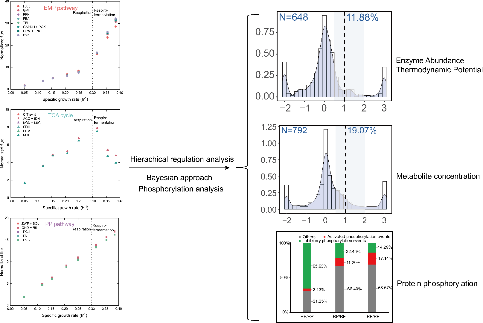 Scientists Quantify Proportion of Each Regulation Factor Contributing to Flux Changes in Saccharomyces Cerevisiae