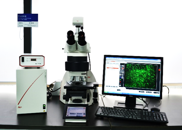 Fluorescence Microscope