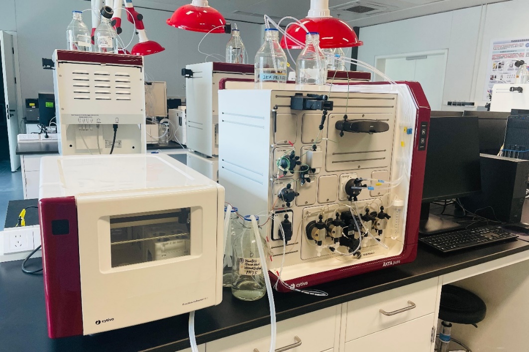 Rapid protein purification system